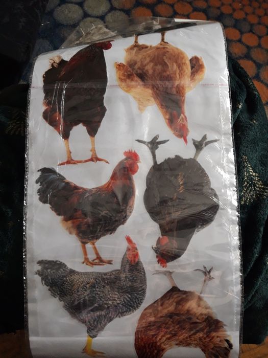 Kury Naklejki Nalepki