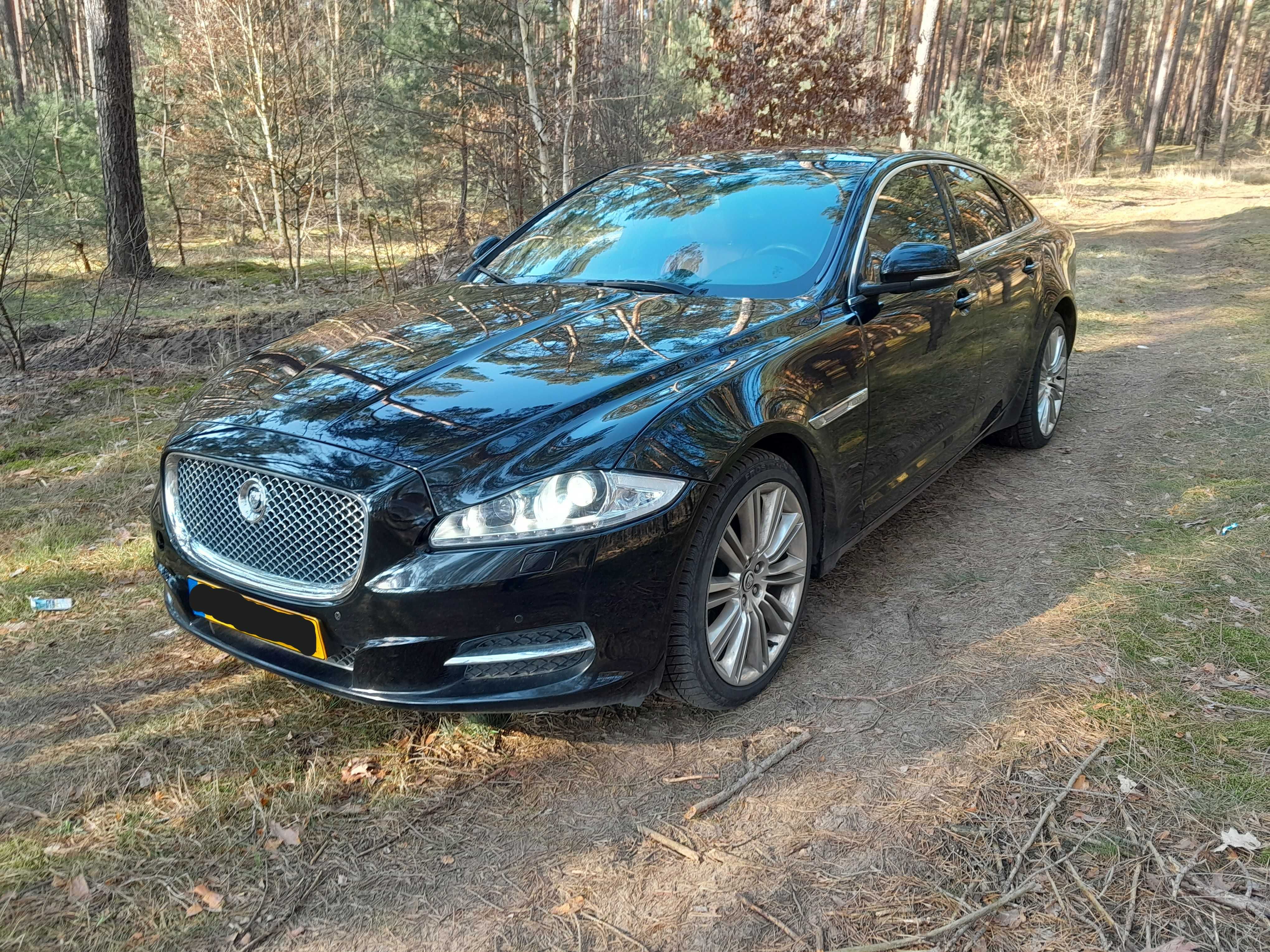 Jaguar XJ Portfolio 3.0d 275km, pelny opcji, nowy silnik