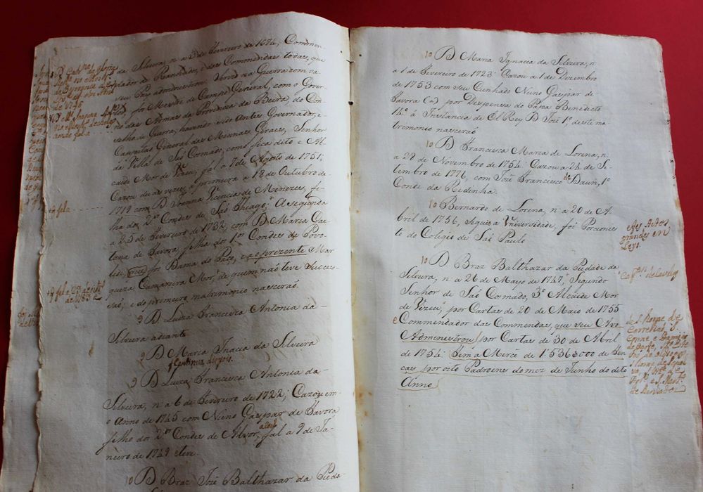 Senhores da Vila de São Cosmado Lamego apelido Silveira séc XVIII