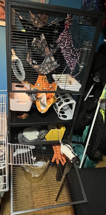 Gaiola para roedores