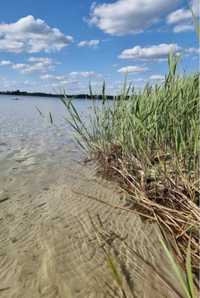 Działka 990 m2 - Mazury, Brajniki, gm. Jedwabno/ Warchały, Narty/