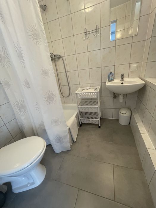 Pokoje + przewodnik po Puszczy Białowieskiej