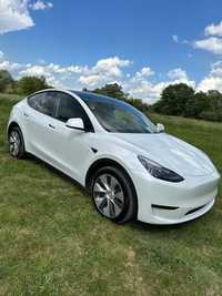 Tesla model Y 2023 року