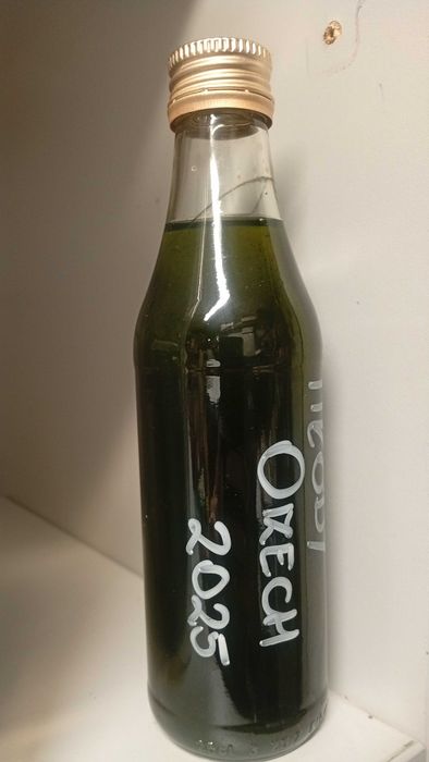 Intensywnie Zielona Orzechówka  2025