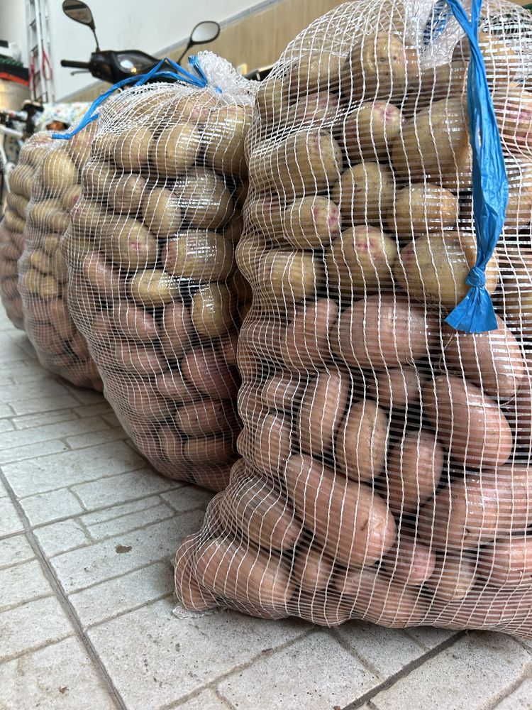 Batata nova biologica entre outros legumes