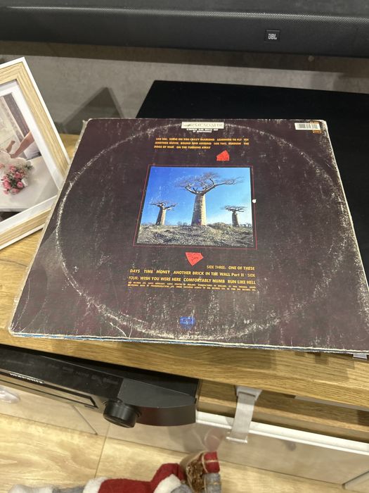 Winyl Pink Floyd Delicate Sound Of Thunder