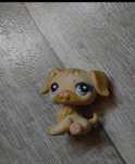 Littlest pet shop