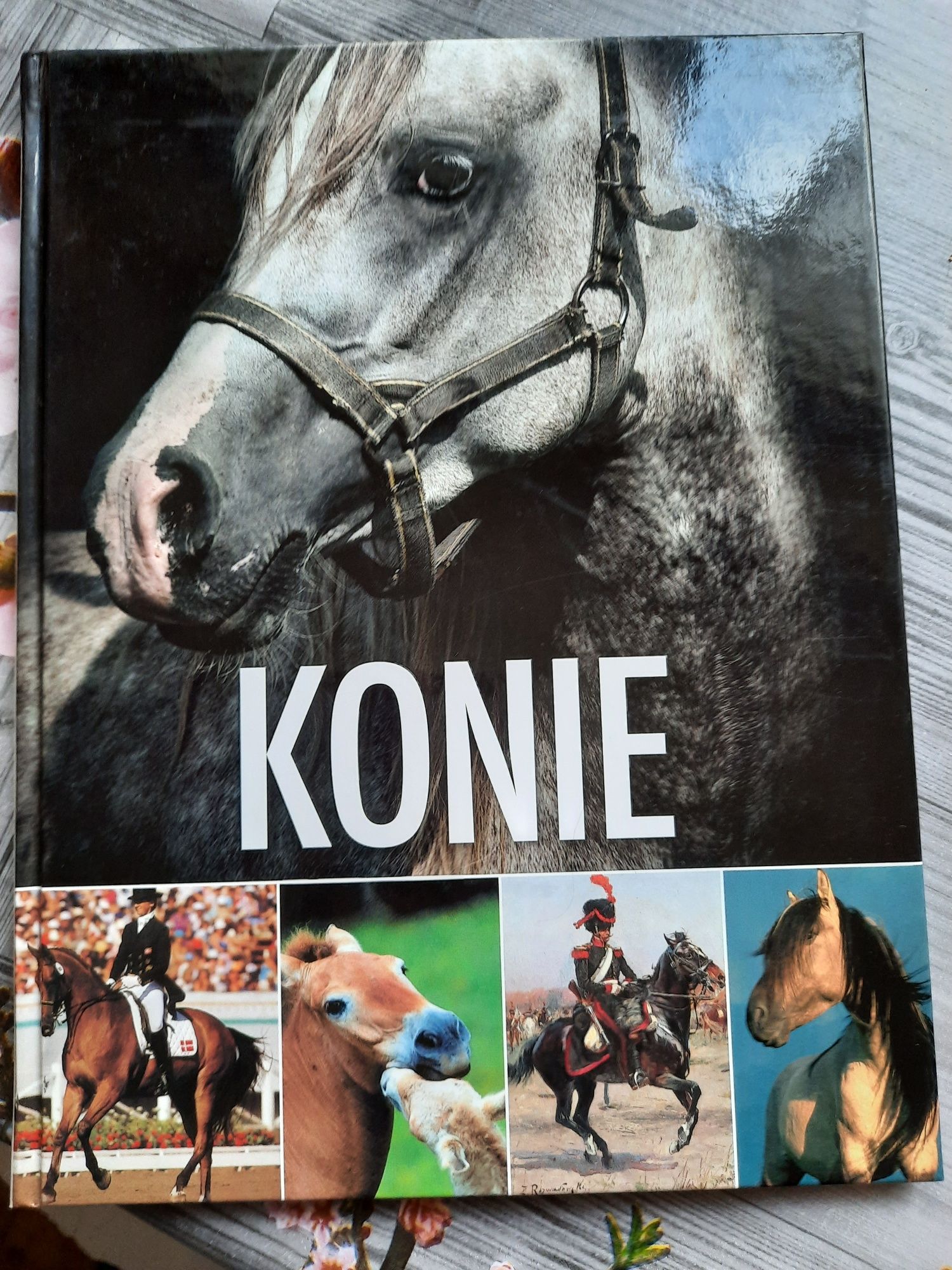 Książka o koniach "KONIE"