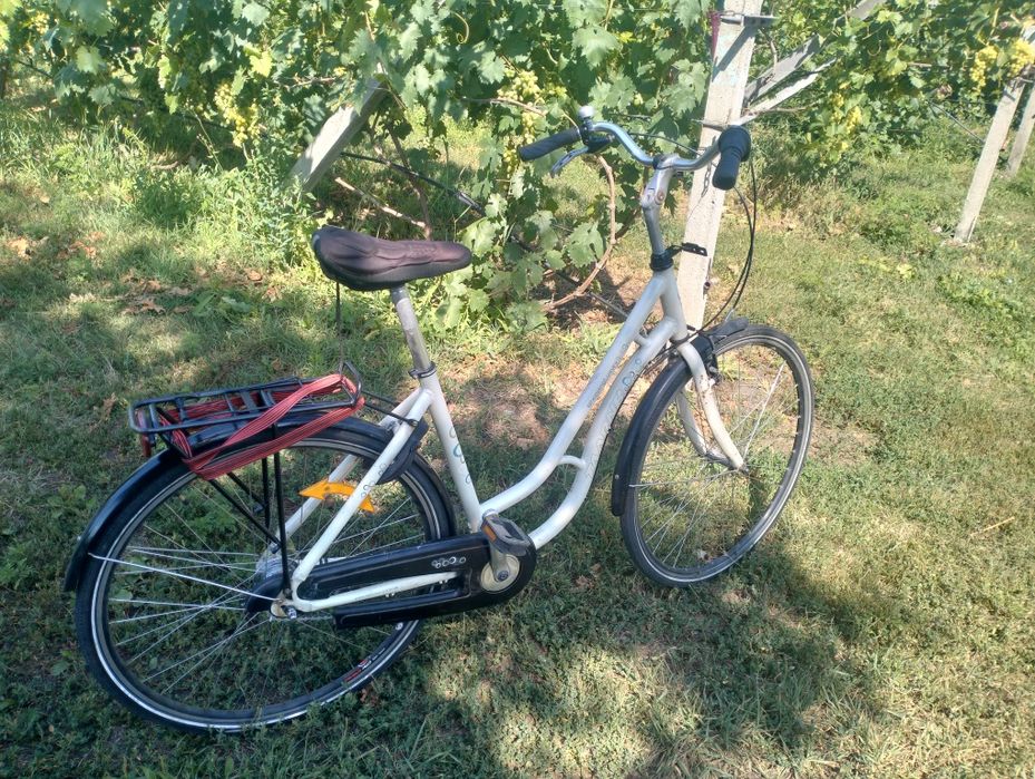 Велосипед на планетарной втулке.