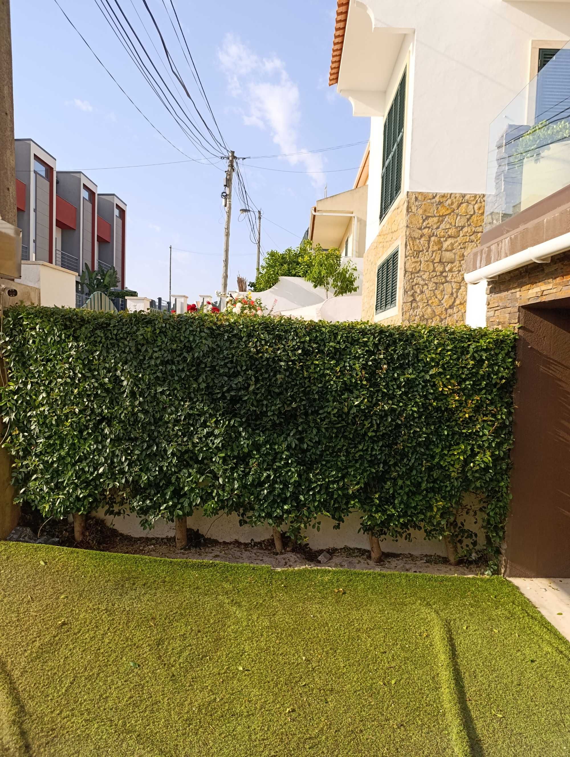 Serviços de Jardinagem e manutenção