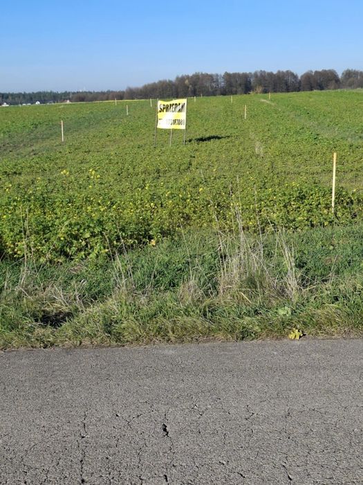 Działka budowlana Lipienice Dolne