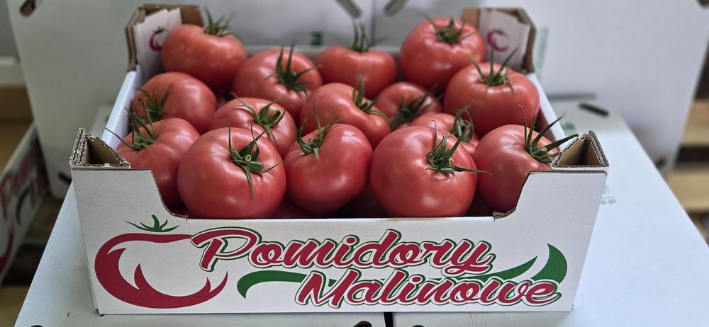 Sok pomidorowy 100%  3L tłoczony naturalny