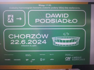 Dawid Podsiadło Chorzów 22.06.2024 bilet x 2