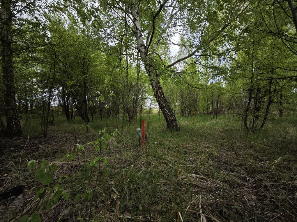 Земельна ділянка СТ "Луговий"