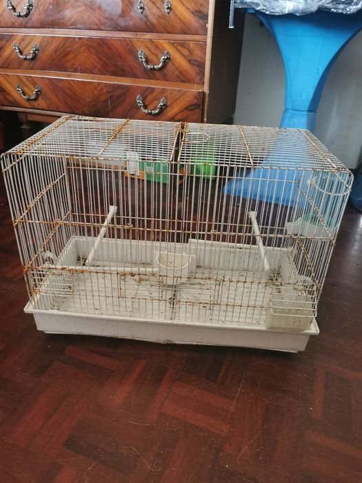 Gaiola pássaros pequenos com acessórios