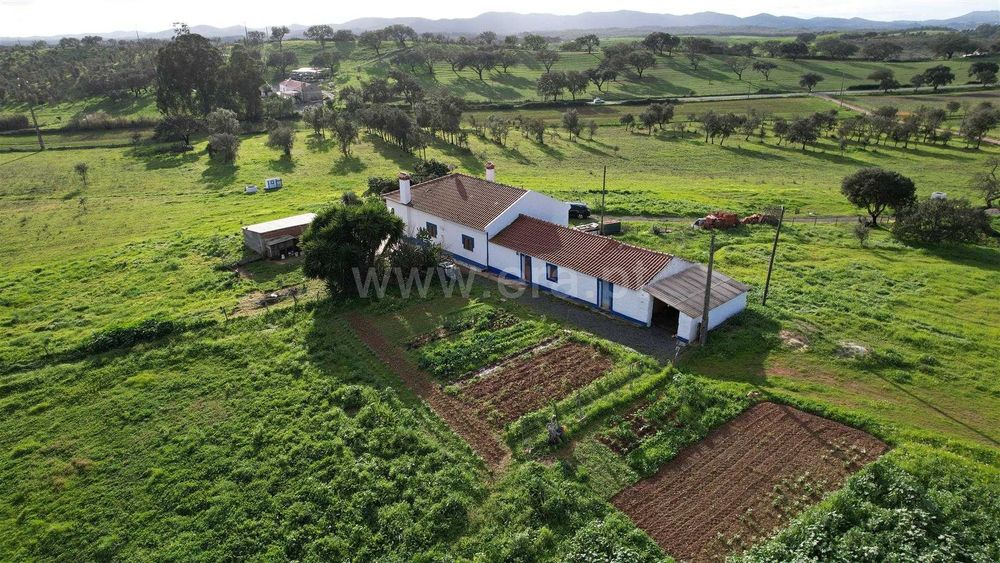 Monte Alentejano - Oportunidade de Investimento* 2 moradias