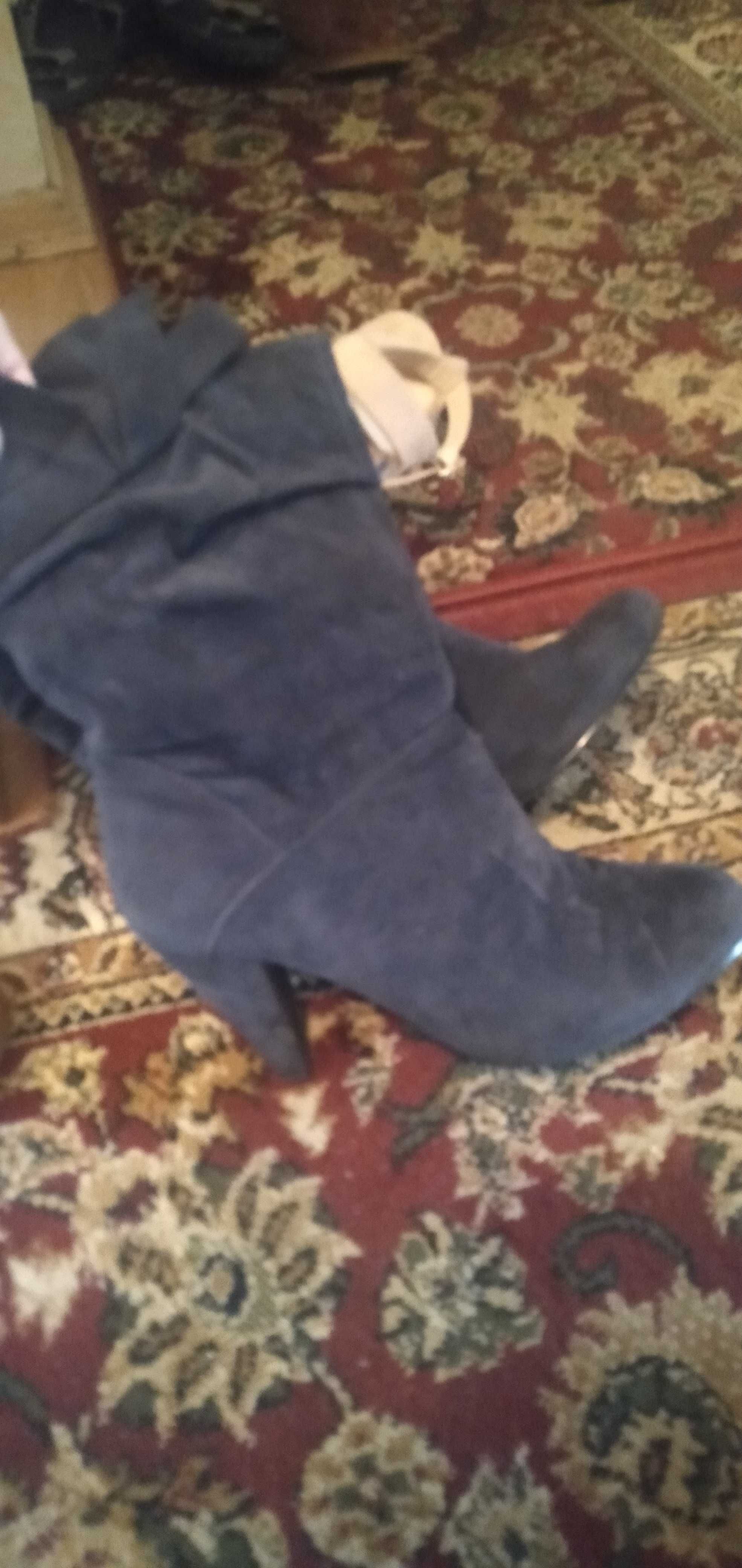 Buty zamszowe granatowe ccc