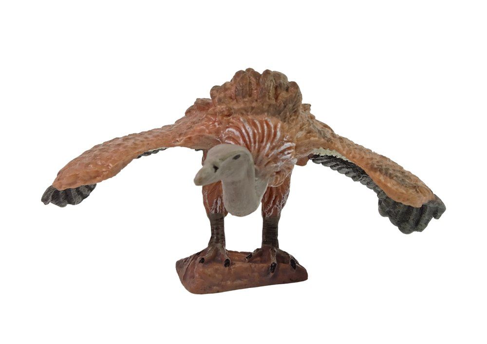 Duża Figurka Kolekcjonerska Sęp Płowy Zwierzęta Świata