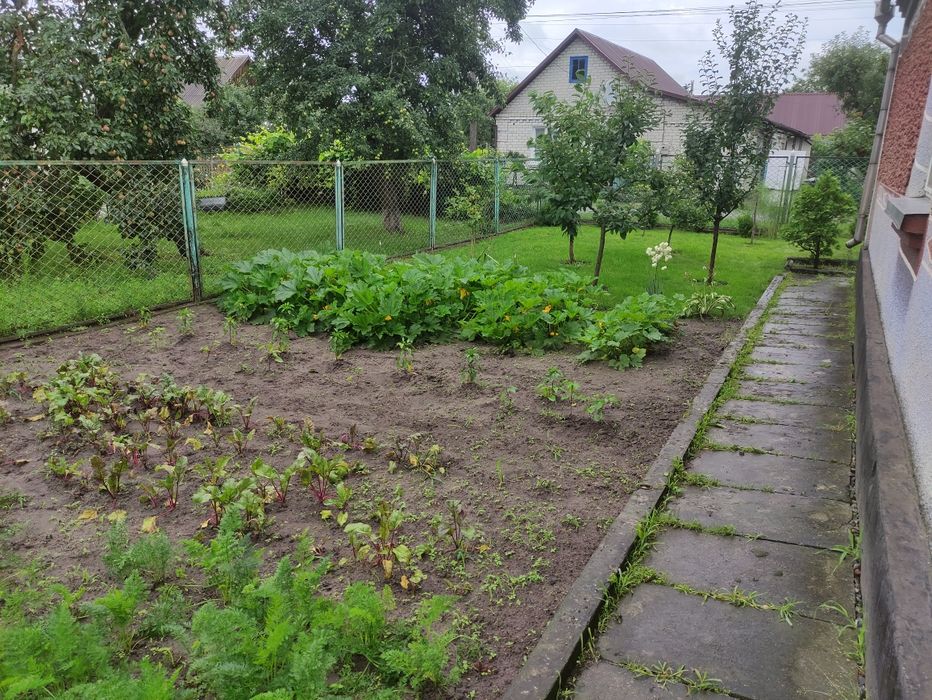 Будинок з присадибною ділянкою