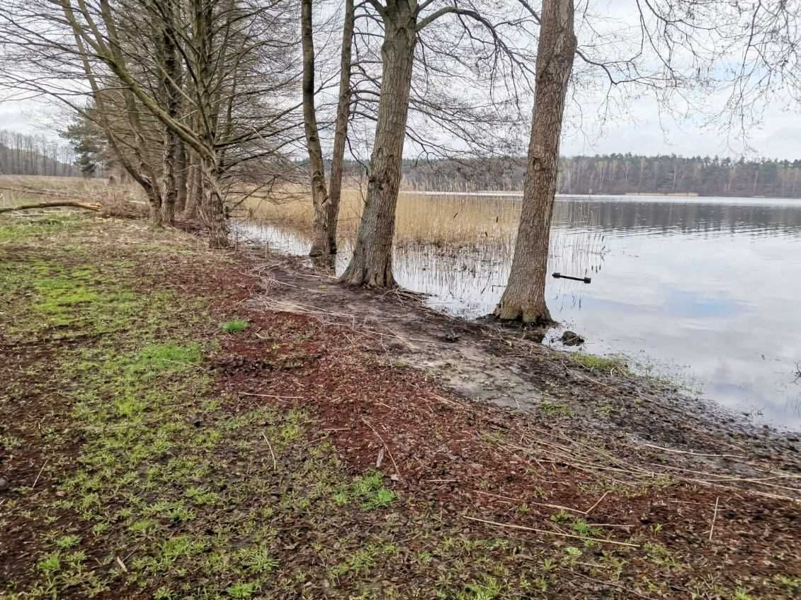 Działka budowlana z linią brzegową jeziora margonińskiego