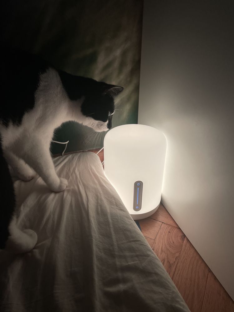 Xiaomi mi bedside lamp 2
