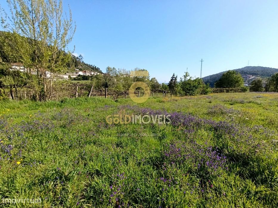 Terreno Rústico  Venda em Luzim e Vila Cova,Penafiel