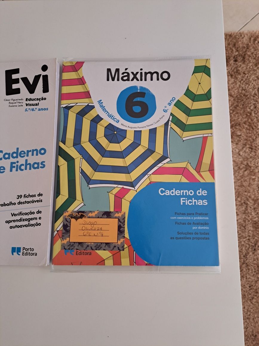 Caderno de atividades de matemática Máximo 6 ano