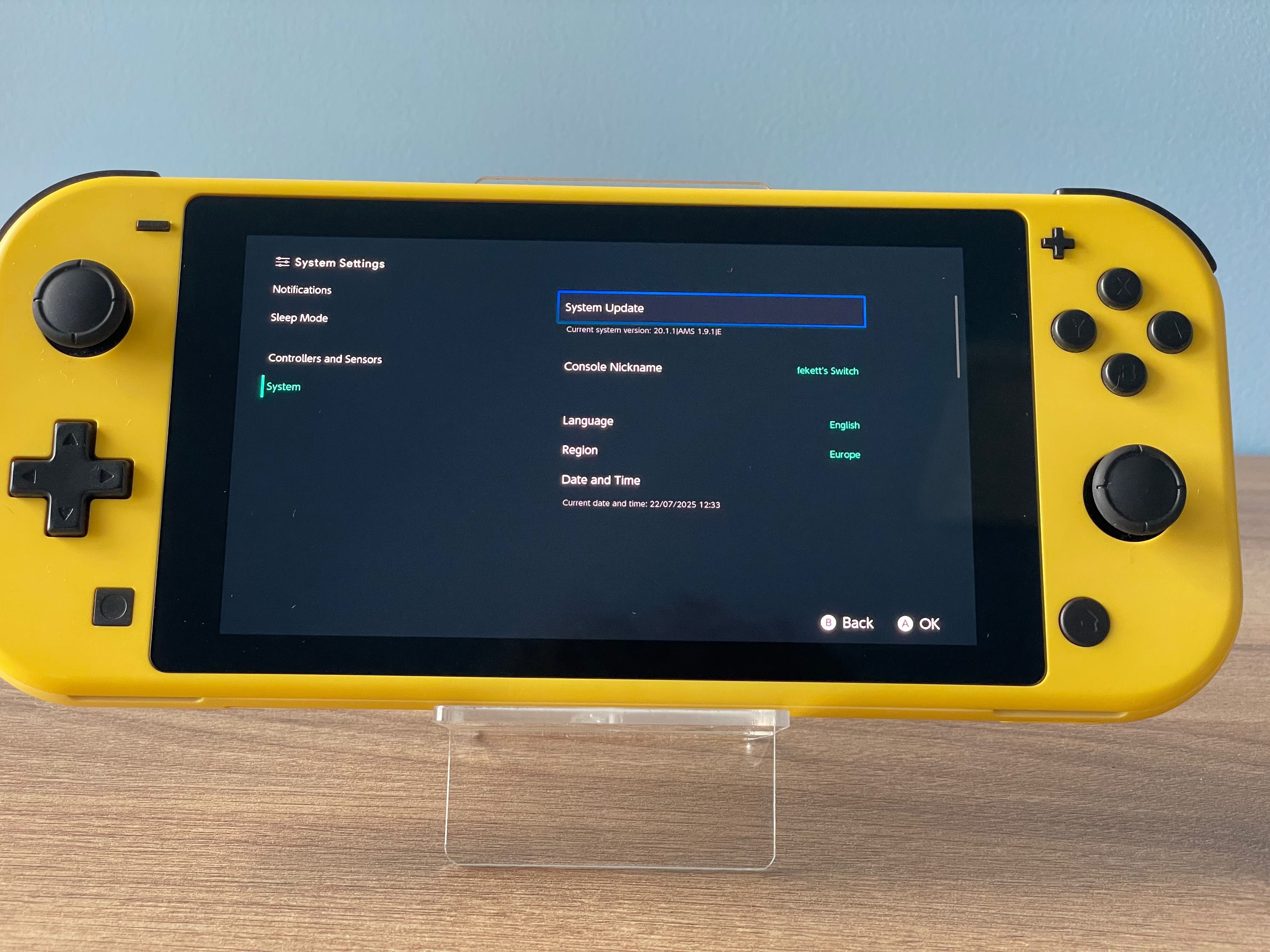 Nintendo Switch Lite OLED CFW