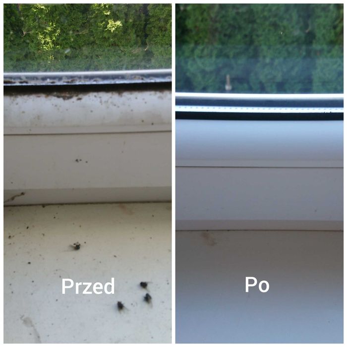 Sprzątanie poremontowe ,po wyprowadzce,mycie okien,nietypowe zlece