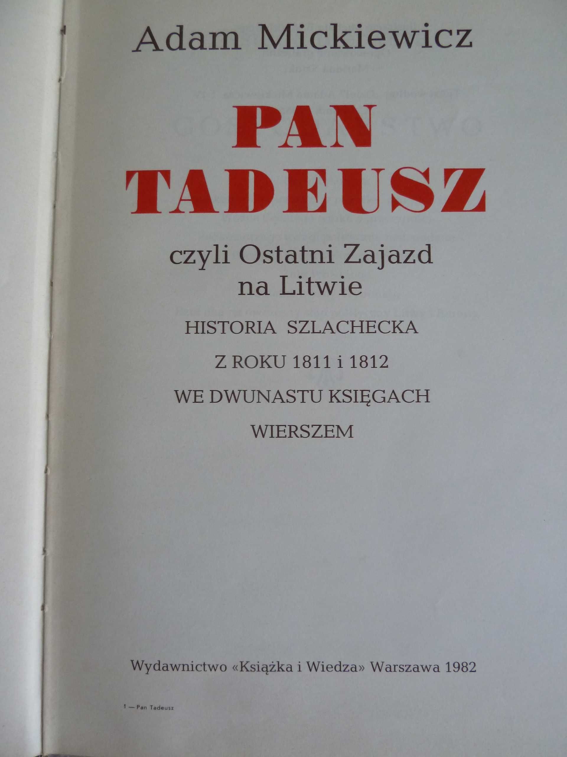 Pan Tadeusz - książka