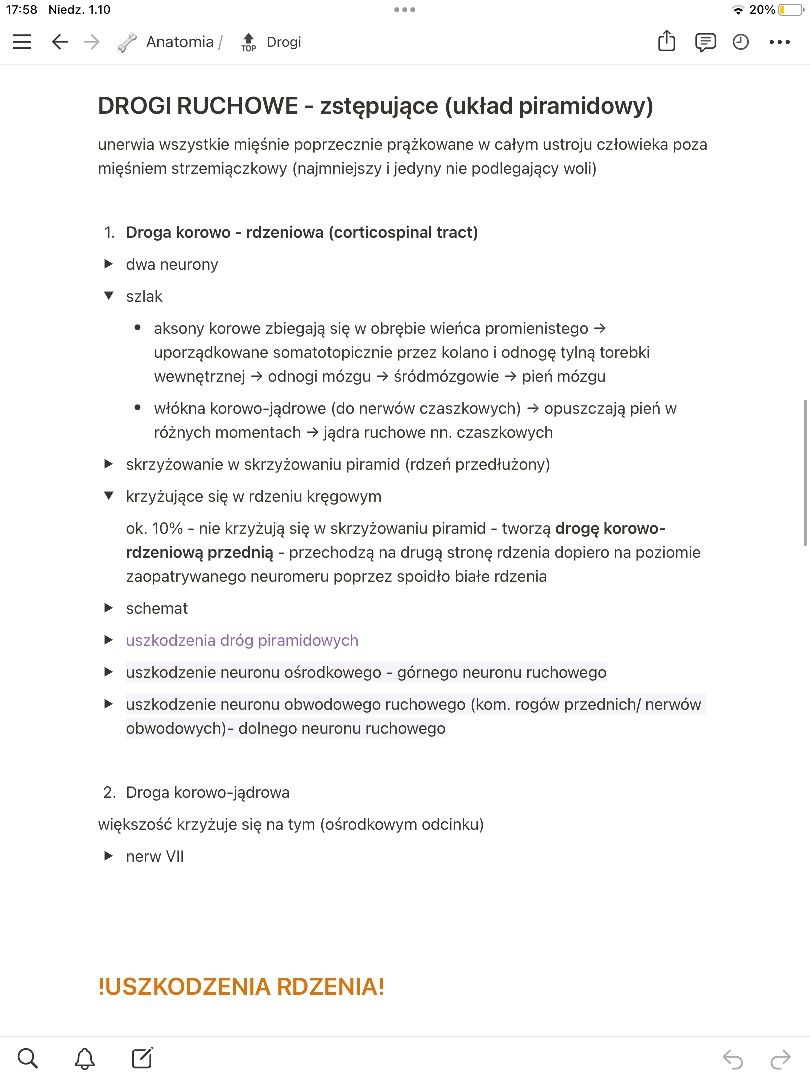 notatki anatomia lekarski UMP