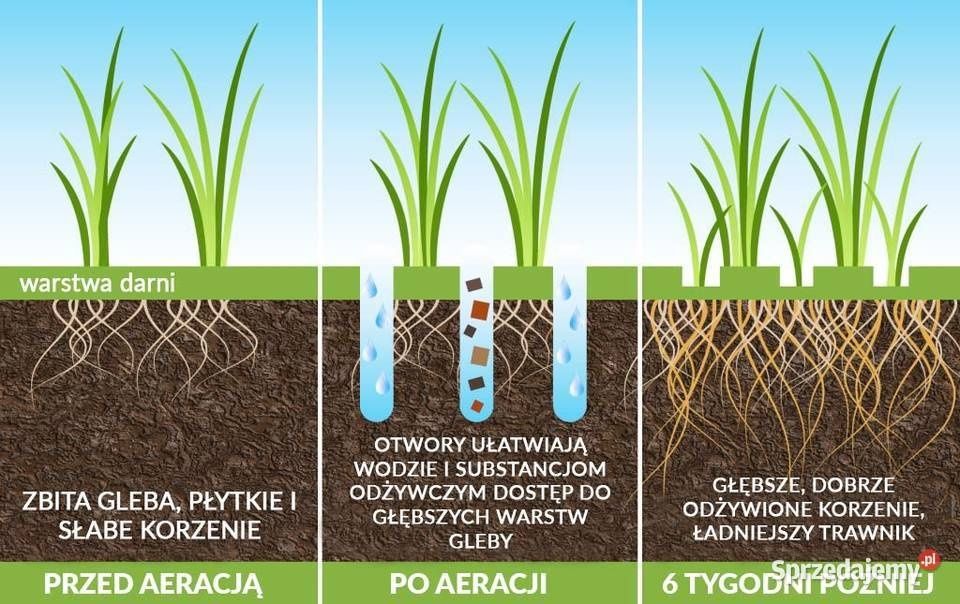 Aerator Weibang. Wynajem, wypożyczalnia Śląsk, Małopolska