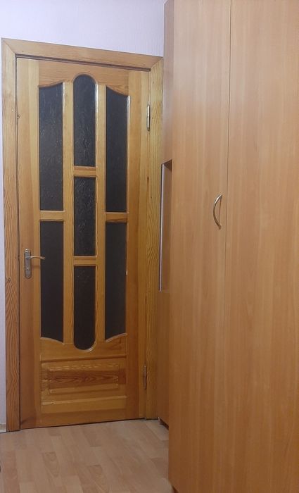 Двері, коробка, лиштва, ручки, завіси. Стан ідеальний