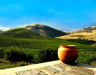 Quinta com 4 hectares