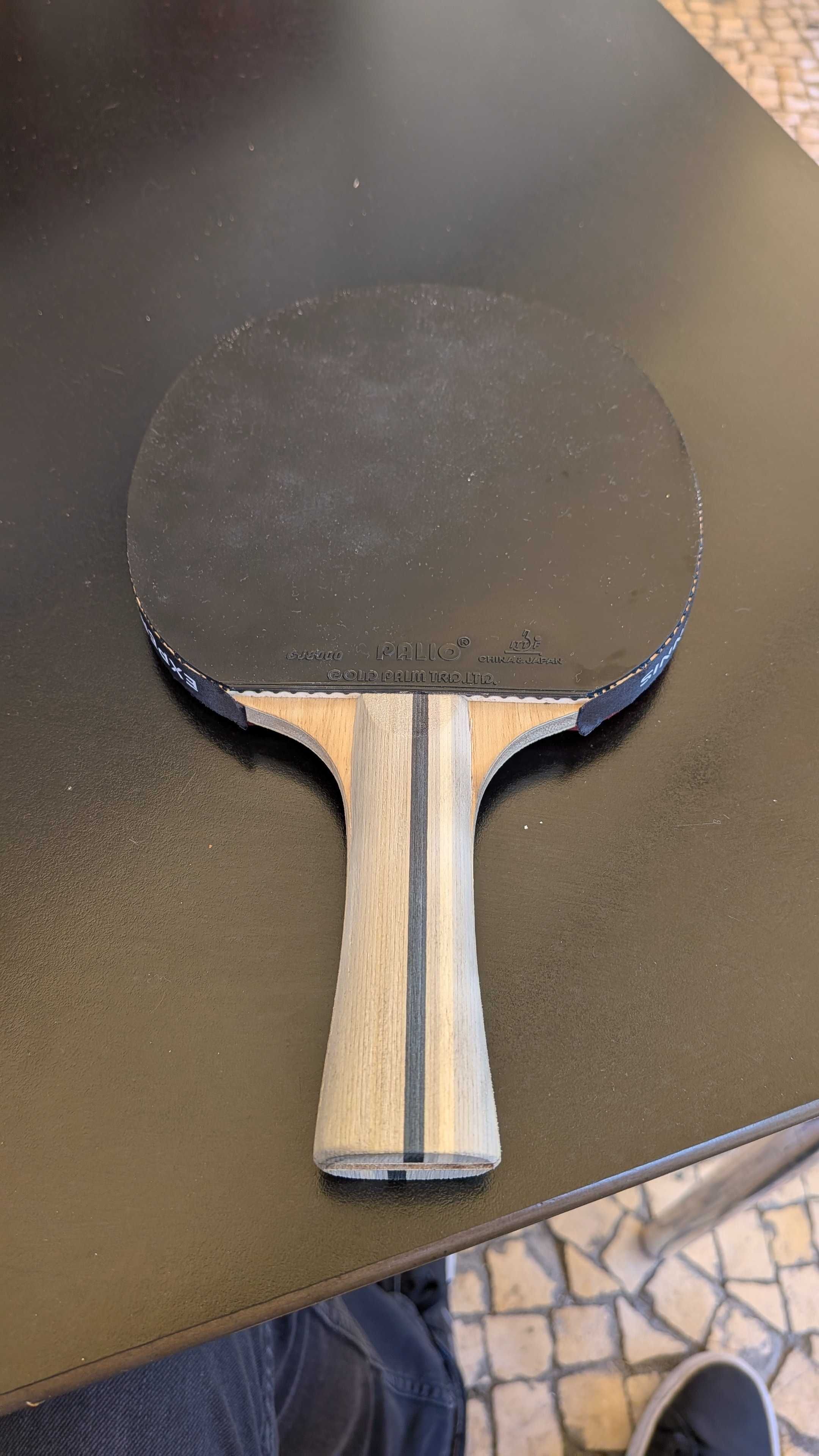Raquete ténis de mesa palio expert 3.0