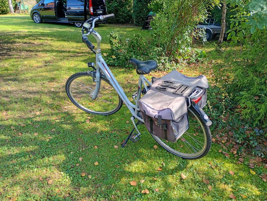 Rower elektryczny Batavus fuego e-go