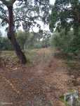 Terreno  para venda