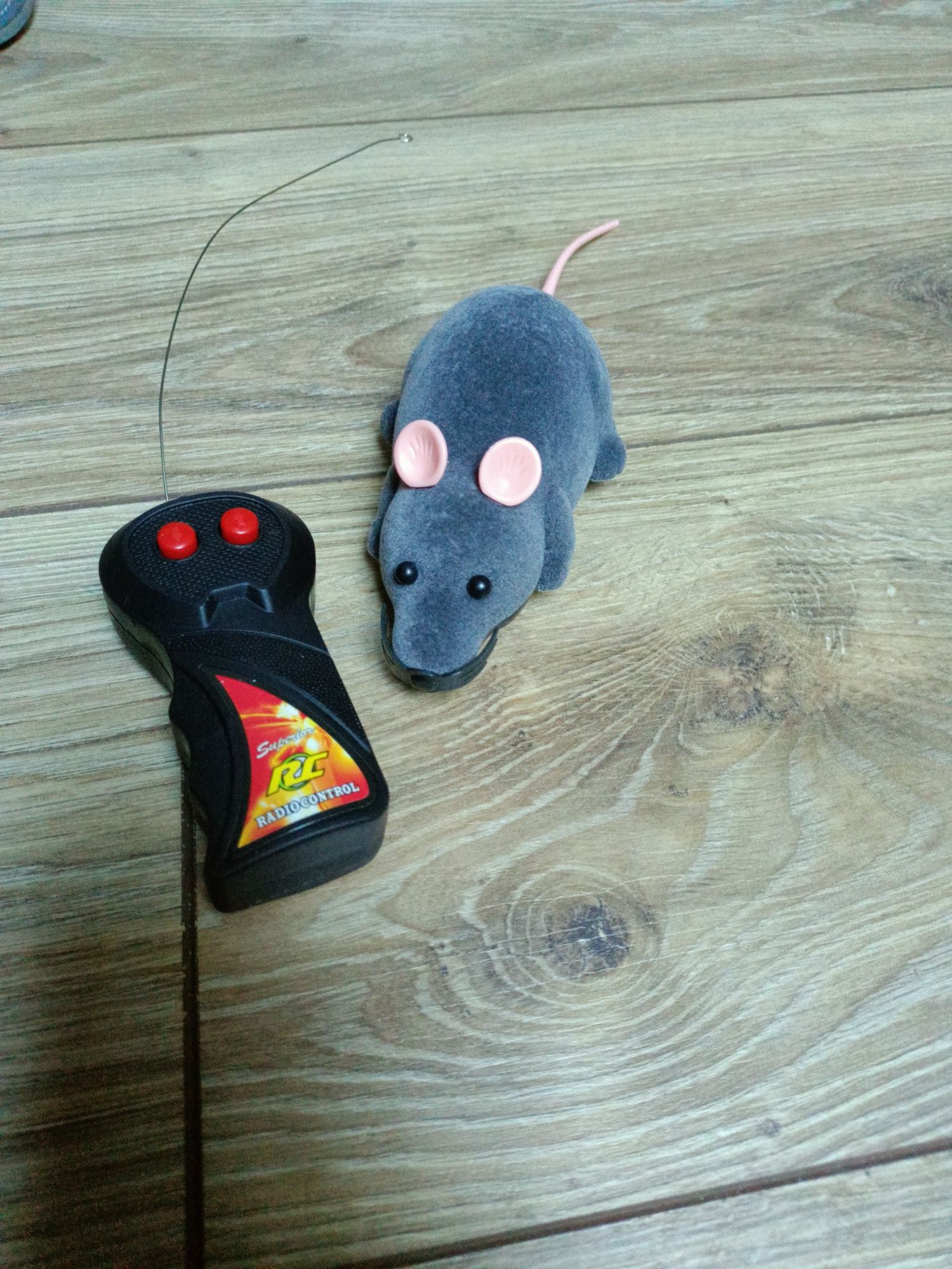 Myszka dla kota sterowana