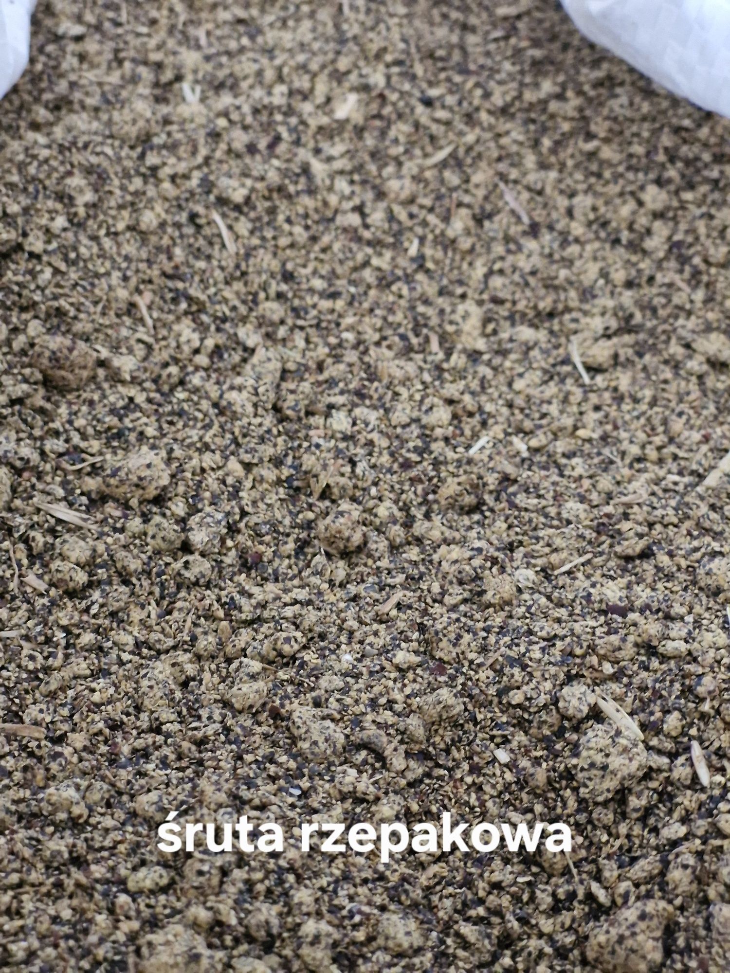 Wysłodki, Śruta rzepakowa i sojowa, Jęczmień, Owies, DDGS, Pszenmix