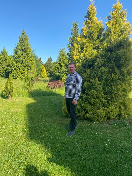 Seo оптимізація сайту, Seo просування сайту в пошуку Гугл - ТОП 10