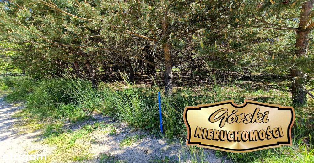 Działka budowlana Krasnobród, Roztocze