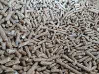 Pellet drzewny przemysłowy a1 a2