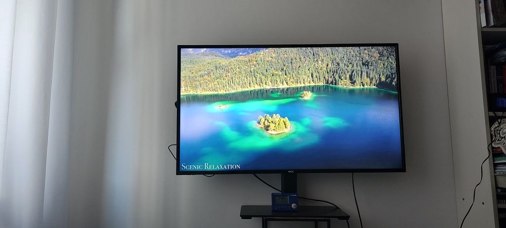 Monitor NEC model 425, 42 całe