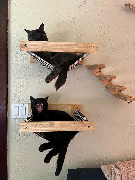 Legowisko hamak dla kota ścienna półka wspinaczka