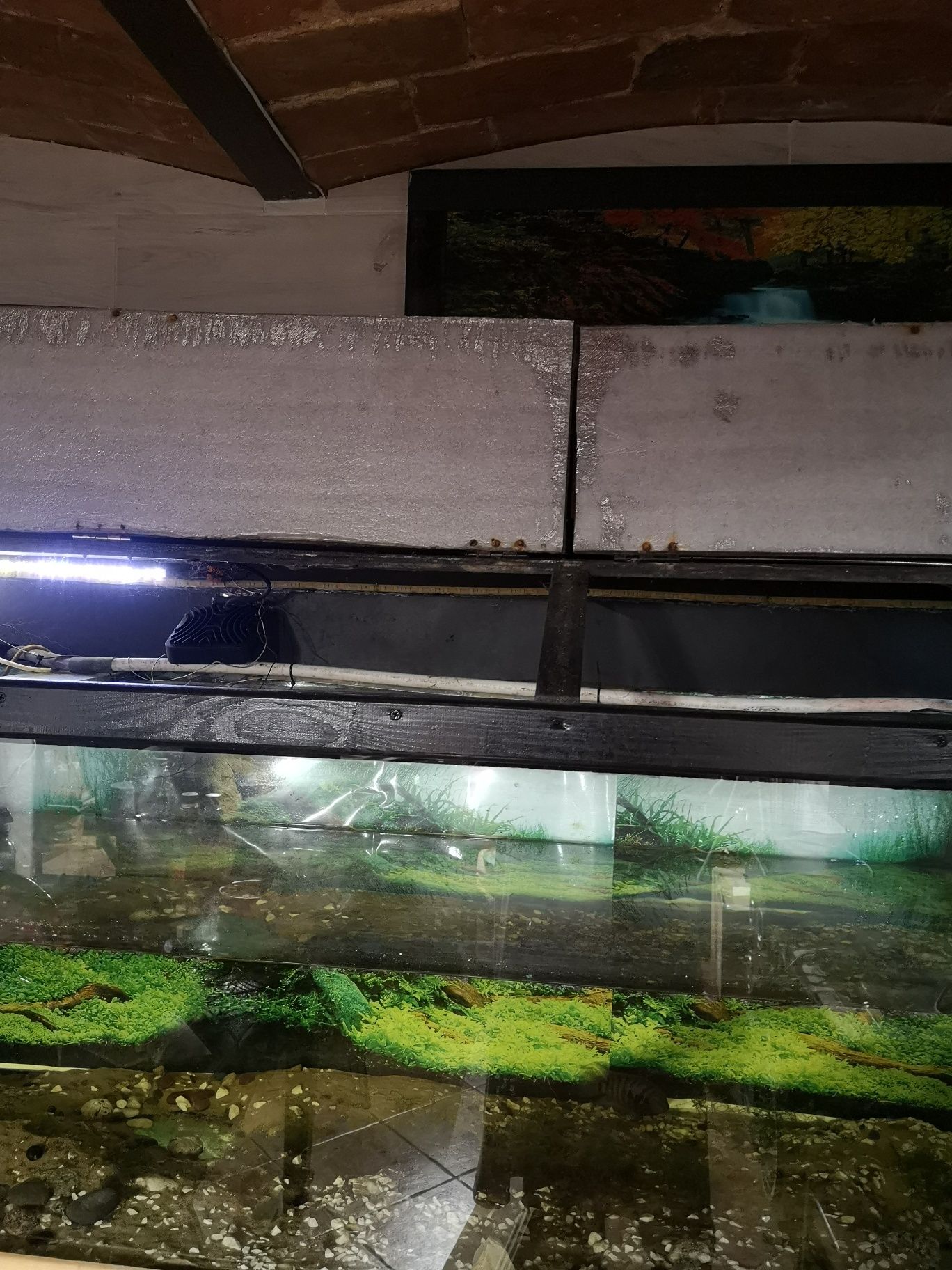 Akwarium duże i ładne 170x50x50