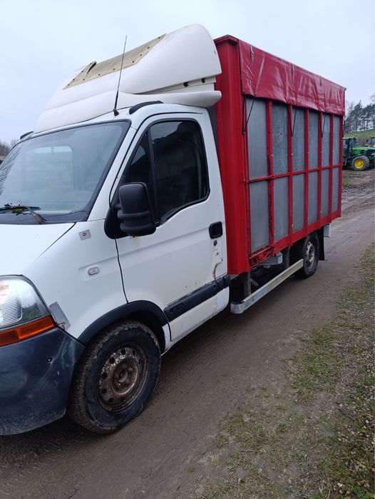 Renault Master 2006r do przewozu zwierząt