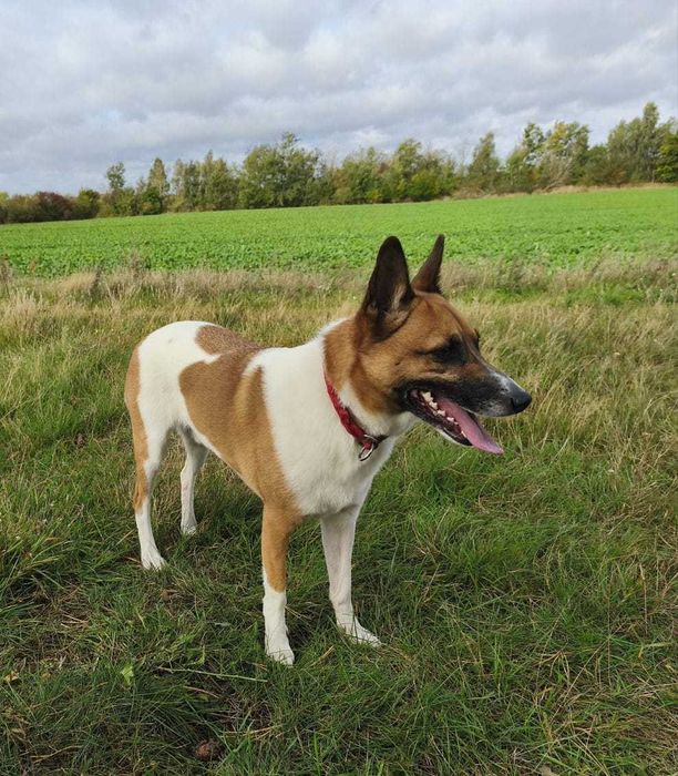 Bari po 2 latach traci DOM