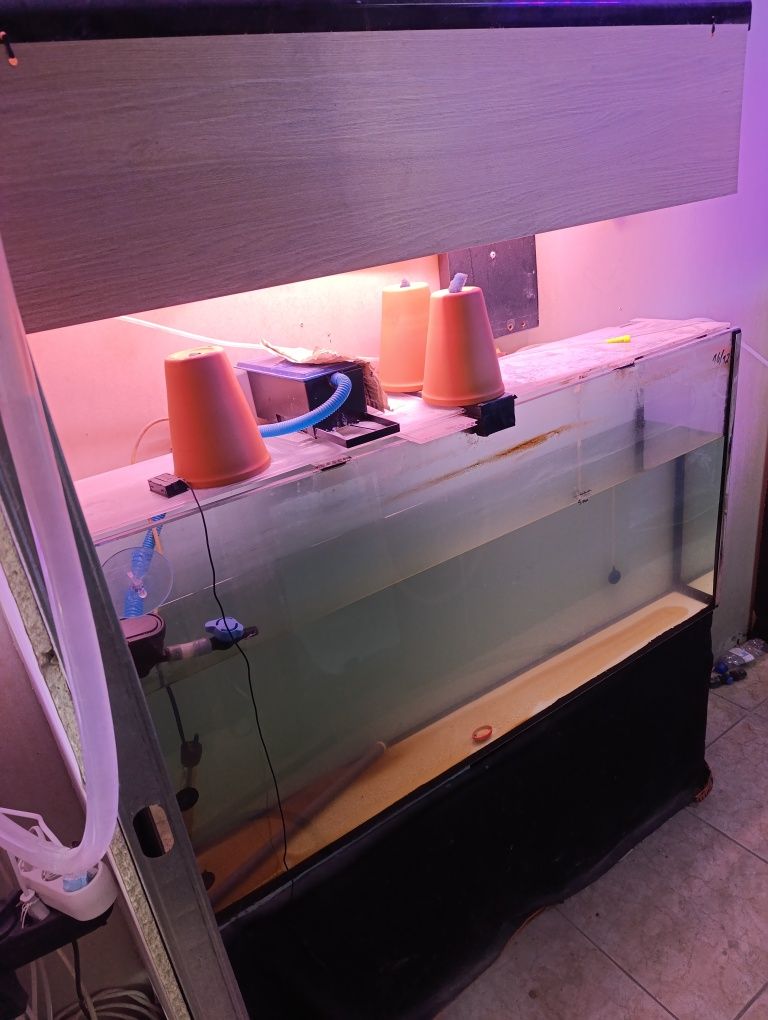 Aquários e material de aquariofilia
