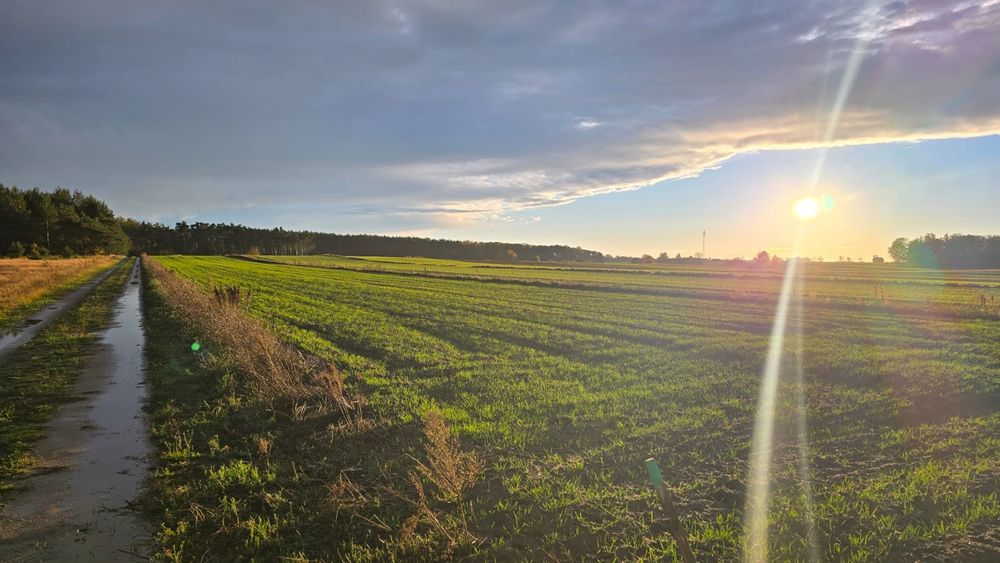 Działka budowlana 1000m² z WZ nad Zalewem Sulejowskim!!