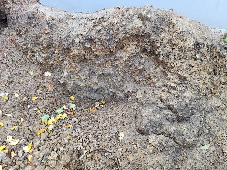 Oddam ziemię /gline